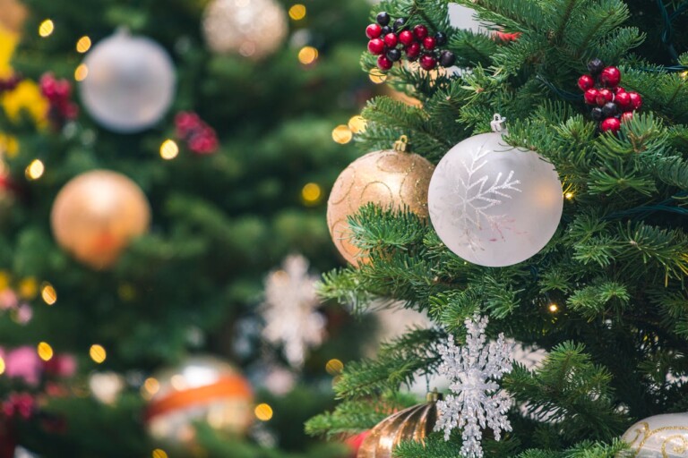 The Christmas Tree: Origins, Evolution, and Symbolism